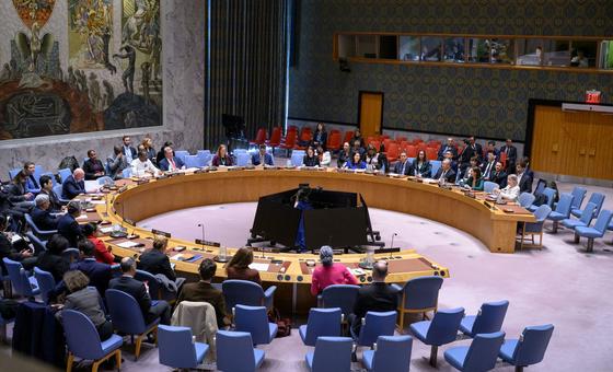 Security Council lays the ground in the race for the next Secretary-General